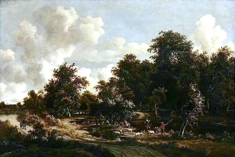 Paesaggio boschivo